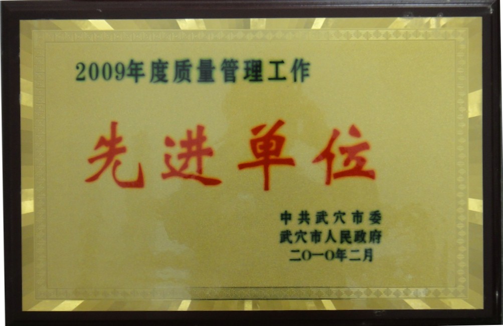 2009年度質量管理工作先進單位(黃岡亞東) 2009年度質量管理工作先進單位(黃岡亞東)