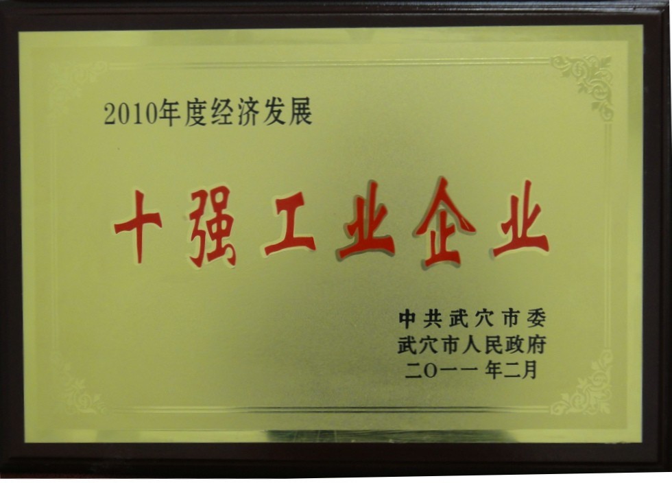 2010年度經(jīng)濟(jì)發(fā)展十強(qiáng)工業(yè)企業(yè)(黃岡亞東) 2010年度經(jīng)濟(jì)發(fā)展十強(qiáng)工業(yè)企業(yè)(黃岡亞東)