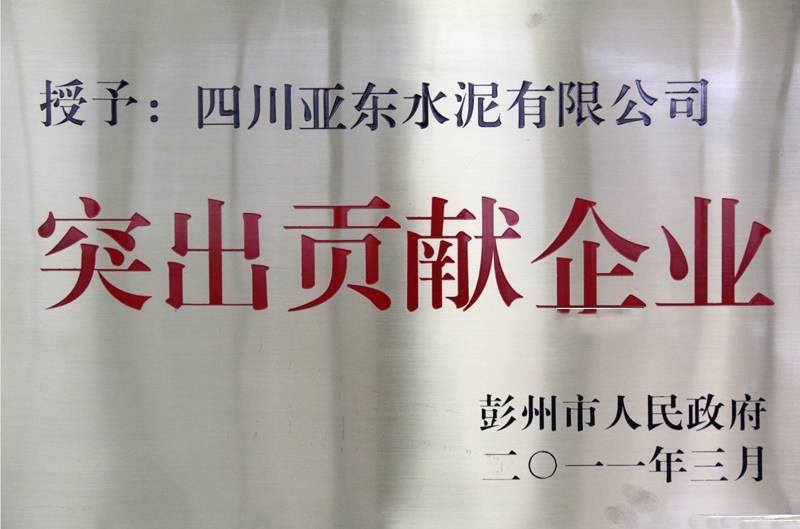 突出貢獻企業(四川亞東) 突出貢獻企業(四川亞東)