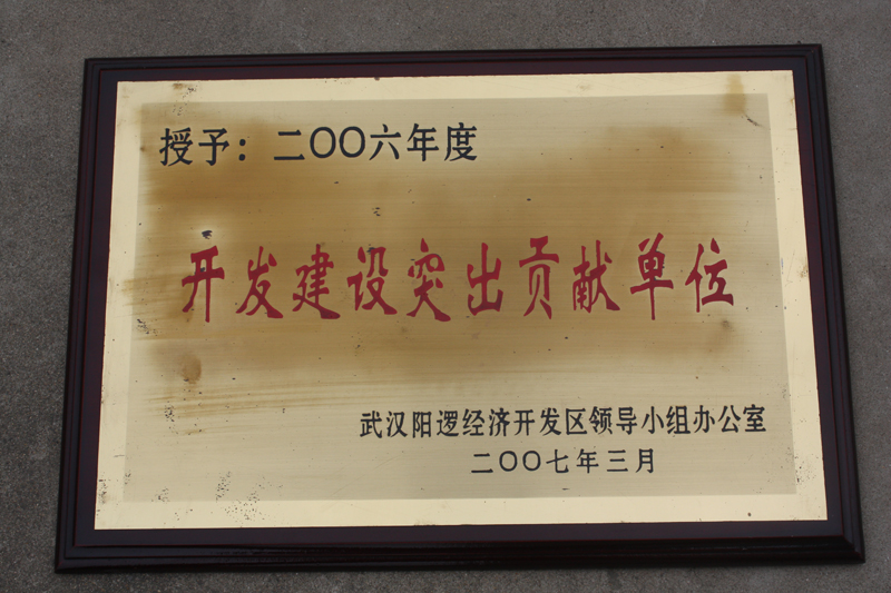 開發(fā)建設(shè)突出貢獻(xiàn)單位(湖北亞?wèn)|) 開發(fā)建設(shè)突出貢獻(xiàn)單位(湖北亞?wèn)|)