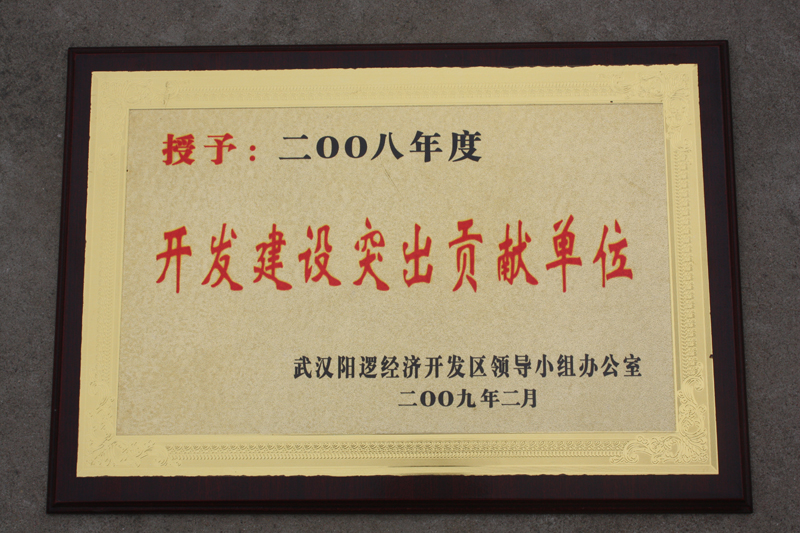 開發建設突出貢獻單位(湖北亞東) 開發建設突出貢獻單位(湖北亞東)